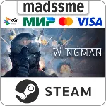 Project Wingman * RU/KZ/СНГ/TR/AR * STEAM АВТО - irongamers.ru