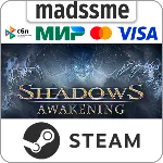 Shadows: Awakening * RU/KZ/СНГ/TR/AR * STEAM 🚀 АВТО