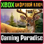 BIG BUCK HUNTER ARCADE XBOX ONE/X|S КЛЮЧ - irongamers.ru