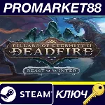 ⭐ Pillars of Eternity II: Deadfire - Beast of Winter DL - irongamers.ru