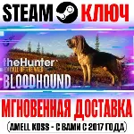 theHunter Call of the Wild Bloodhound Steam Ключ РФ+Мир