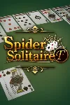 Spider Solitaire F Xbox One|X|S активация - irongamers.ru