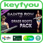 Saints Row IV: Grass Roots Pack / STEAM DLC КЛЮЧ 🔥 