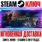 Pillars of Eternity Collection (I + II) Steam Ключ - irongamers.ru