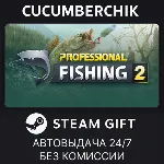Professional Fishing 2 STEAM GIFT AUTO RU+МИР - irongamers.ru
