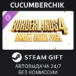 Borderlands®4: Ornate Order Pack✅ STEAM GIFT AUTO✅ RU+МИР