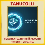 Active Neurons 3 - Wonders... PS4/PS5/PS Турция/Украина - irongamers.ru