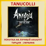 Amnesia Collection PS4/PS5/PS Турция/Украина - irongamers.ru