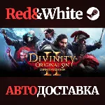 Divinity: Original Sin 2 * STEAM RU*KZ*UA*СНГ