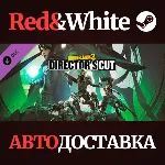 Borderlands 3: Director's Cut DLC * STEAM RU*KZ*UA*СНГ