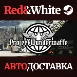 Project Wunderwaffe * STEAM РОССИЯ🔥 АВТОДОСТАВКА