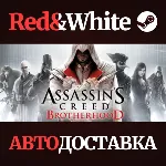 Assassin&acute;s Creed Brotherhood * STEAM АВТОДОСТАВКА - irongamers.ru