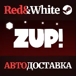Zup! * STEAM РОССИЯ АВТОДОСТАВКА - irongamers.ru