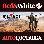 Wild West Dynasty * STEAM РОССИЯ🔥 АВТОДОСТАВКА
