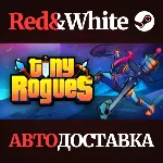 Tiny Rogues * STEAM РОССИЯ АВТОДОСТАВКА - irongamers.ru