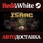 Binding of Isaac Bundle * STEAM РОССИЯ АВТОДОСТАВКА - irongamers.ru