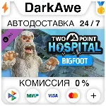 Two Point Hospital: Bigfoot DLC STEAM•RU АВТО 0% - irongamers.ru