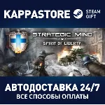 Strategic Mind: Spirit of Liberty АВТОДОСТАВКА Steam - irongamers.ru