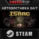 The Binding of Isaac STEAM АВТО RU/UA/KZ/СНГ - irongamers.ru