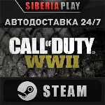 Call of Duty: WWII - Digital Deluxe STEAM RU/UA/KZ/СНГ