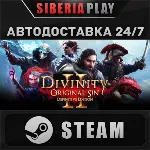 Divinity: Original Sin 2 STEAM АВТО RU/UA/KZ/СНГ - irongamers.ru
