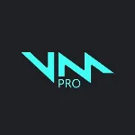 VOICEMOD PRO  (Lifetime)  -   Лицензионный ключ / Global License