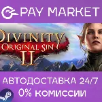 Divinity: Original Sin 2 - Eternal Edit | АВТО gift RU - irongamers.ru