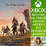 The Elder Scrolls® Online Xbox One & Xbox Series X|S - irongamers.ru