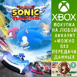 Team Sonic Racing™ Xbox One & Xbox Series X|S - irongamers.ru