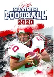 Doug Flutie's Maximum Football 2020 (STEAM) Все страны