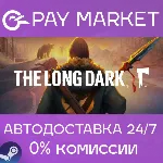 The Long Dark | АВТОДОСТАВКА [Россия Steam Gift] - irongamers.ru