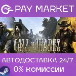 Call of Juarez | АВТОДОСТАВКА [Россия Steam Gift] - irongamers.ru