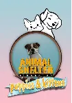 (DLC) Animal Shelter - Puppies & Kittens DLC Все страны - irongamers.ru