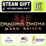 Dragon&acute;s Dogma: Dark Arisen | RU + МИР · AUTO 24/7 - irongamers.ru