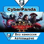 Divinity: Original Sin 2 - Divine Edition STEAM GIFT Авытодоставка - irongamers.ru