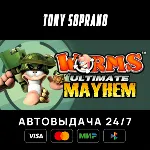 Worms Ultimate Mayhem Выбор Стран Авто-Доставка 24/7 - irongamers.ru