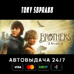 Brothers: A Tale of Two Sons Remake - irongamers.ru