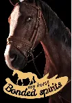 My Horse: Bonded Spirits (STEAM) Регион: Все страны
