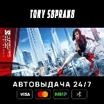 Mirror&acute;s Edge™ Catalyst STEAM GIFT - irongamers.ru