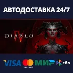 АВТОДОСТАВКА / Diablo® IV: Age of Hatred / STEAM - irongamers.ru