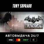 Batman: Arkham Origins Blackgate - Deluxe Edition STEAM - irongamers.ru