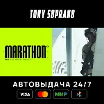 Marathon STEAM GIFT - irongamers.ru