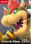 Nintendo eShop Card 250zl