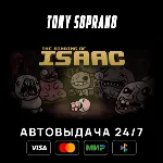 Binding of Isaac Bundle STEAM GIFT - irongamers.ru