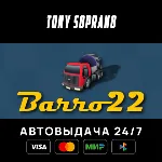 Barro 22 STEAM GIFT - irongamers.ru