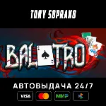 Balatro STEAM GIFT - irongamers.ru
