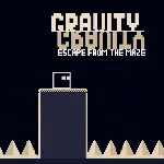 Gravity Escape From The Maze (win) | PC | На любой аккаунт - irongamers.ru
