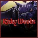 Risky Woods (QUByte Classics) | XBOX | На любой аккаунт - irongamers.ru
