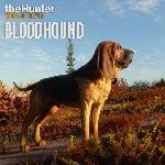 theHunter: Call of the Wild™ - Bloodhound - Windows 10 | PC | На любой аккаунт - irongamers.ru