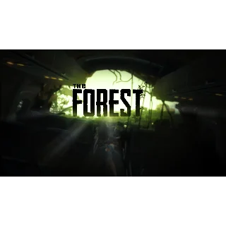 Купить The Forest Steam + Почта + Смена данных
